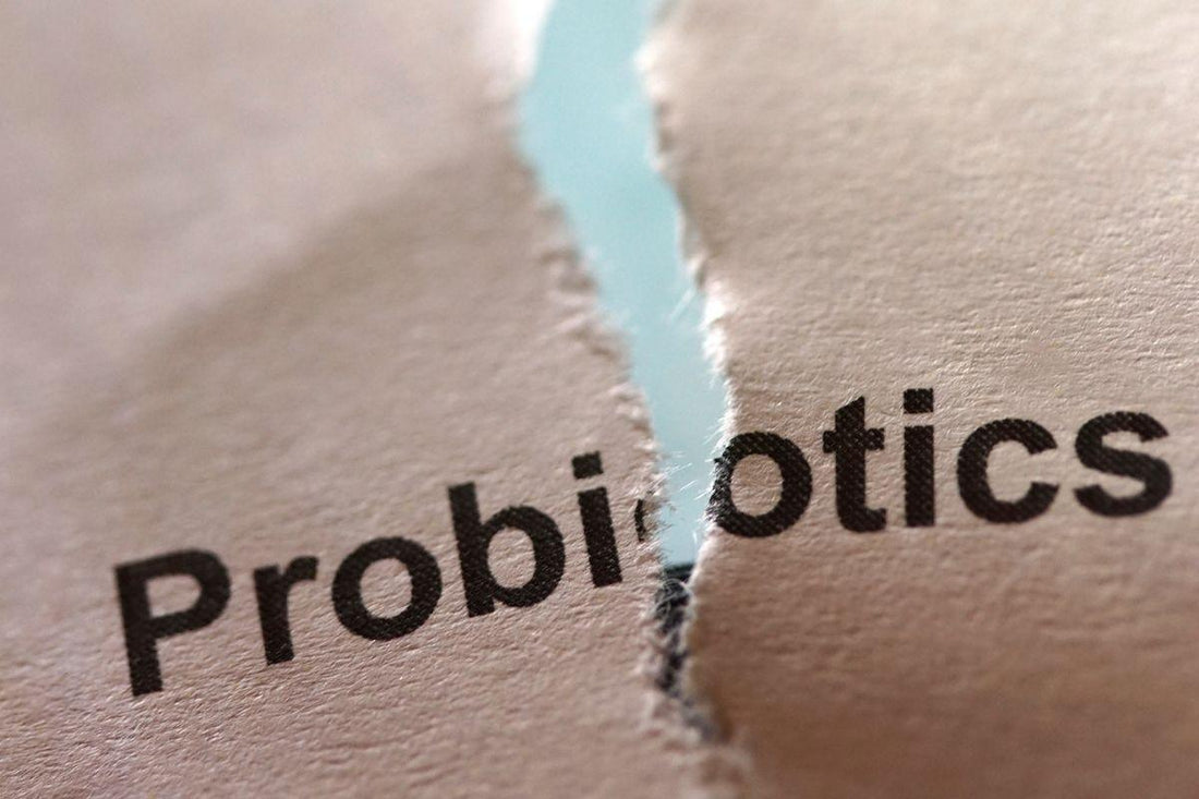 What Happens When You Stop Taking Probiotics