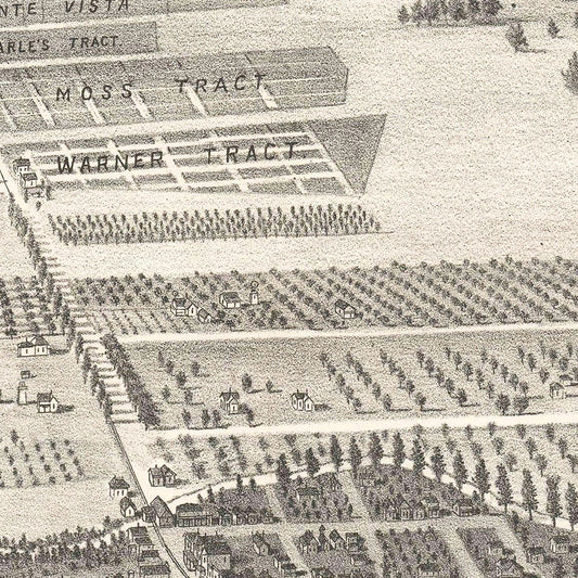 Vintage Map of San Leandro, California, 1892