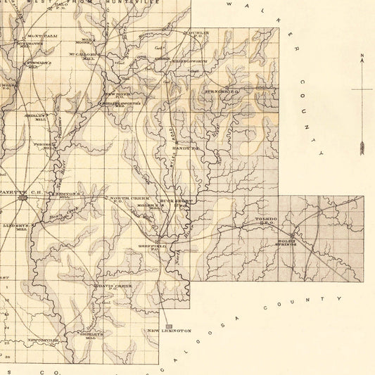 Vintage Map of Fayette County, Alabama, 1878