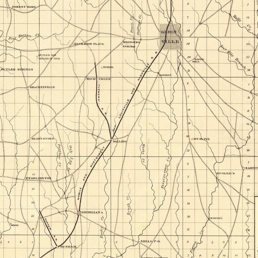 Vintage Map of Butler County, Alabama, 1884 Wall Art