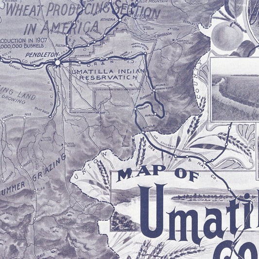 Vintage Map of Umatilla County, Washington, 1908