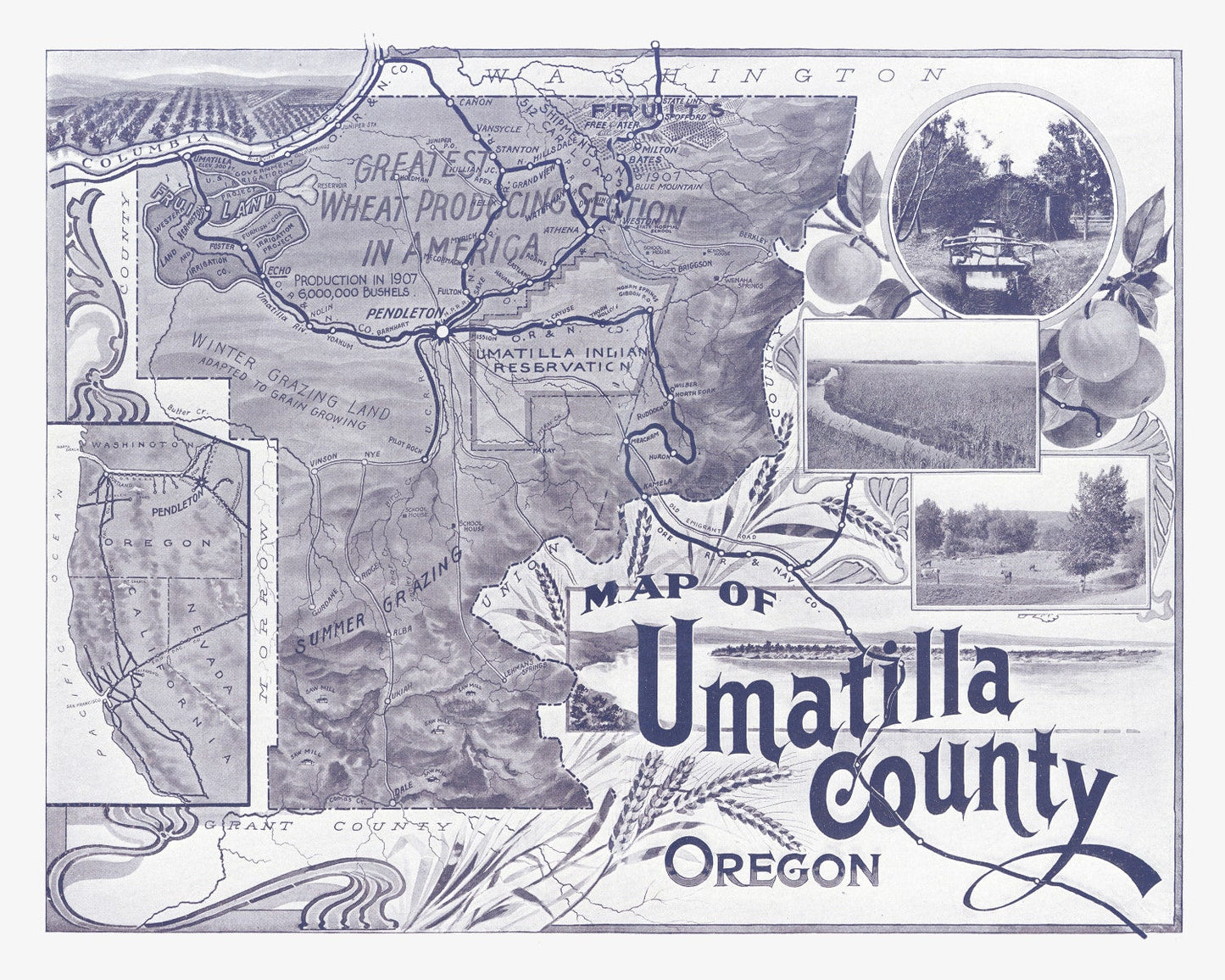 Vintage Map of Umatilla County, Washington, 1908