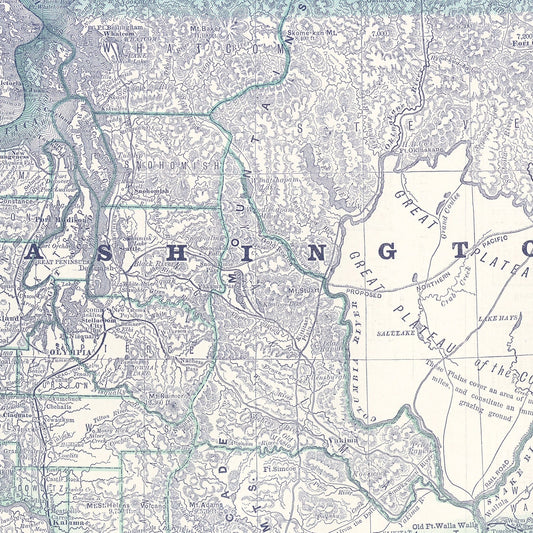 Vintage Map of Washington Territory, 1881