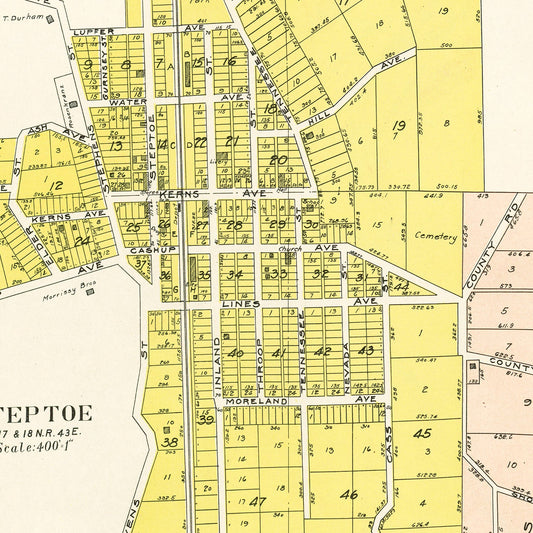 Vintage Map of Steptoe, Washington, 1910