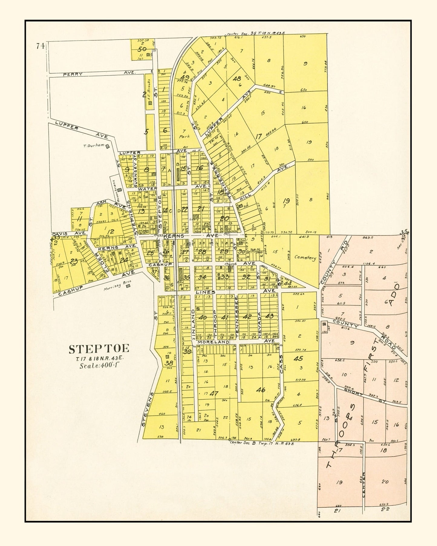Vintage Map of Steptoe, Washington, 1910