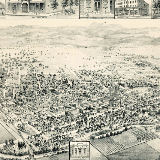 Vintage Map of Santa Rosa, California, 1885