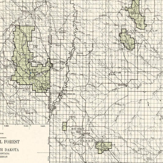 Vintage Custer National Forest Map, 1938