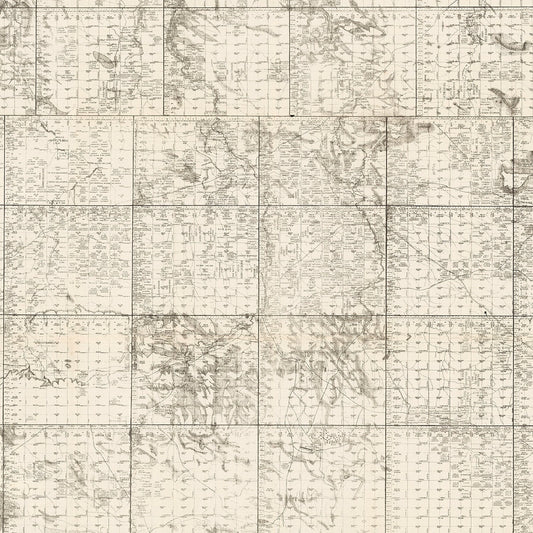 Vintage Map of Tripp County, South Dakota, 1908