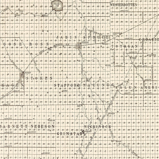 Vintage Map of Roseau County, Minnesota, 1911
