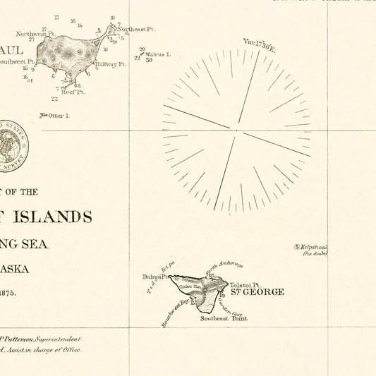 Vintage Map of the Pribilof Islands, Alaska, 1875