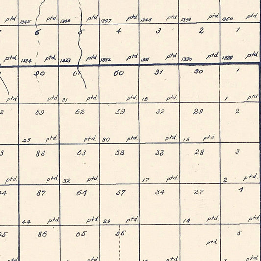 Vintage Map of Carson County, Texas, 1898