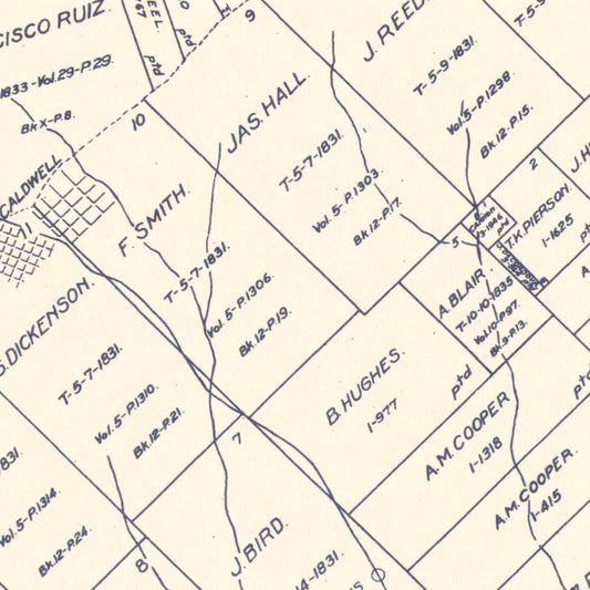 Vintage Map of Burleson County, Texas, 1920
