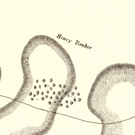 Vintage Fort Henry and Fort Donelson Map, 1875