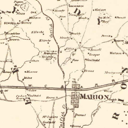 Vintage Map of Marion County, South Carolina, 1825