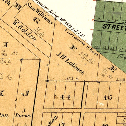 Vintage Map of Saline County, Missouri, 1876