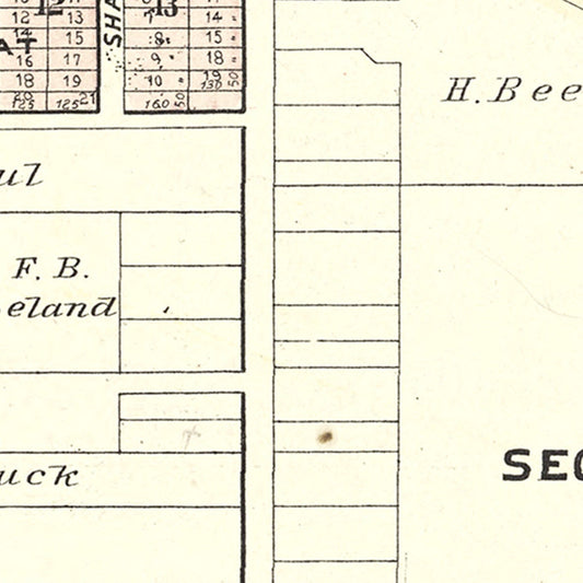 Vintage Map of Linden, Michigan, 1889