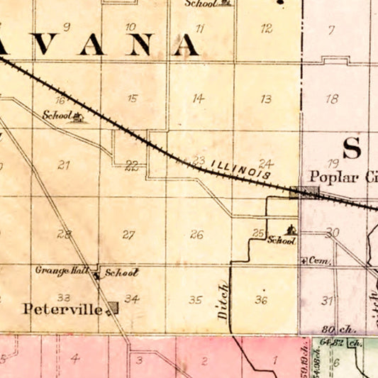 Vintage Map of Mason County, Illinois, 1891