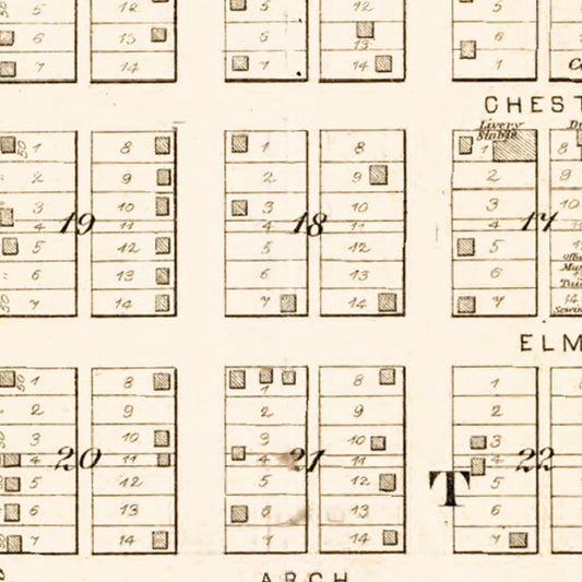 Vintage Map of Mason, Illinois, 1891