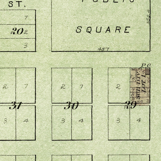 Vintage Map of Bishop Hill, Illinois, 1893