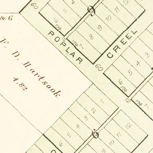 Vintage Map of Bardolph, Illinois, 1893