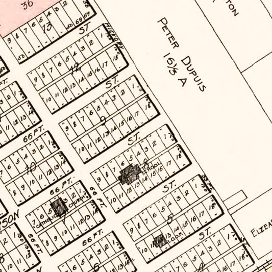 Vintage Map of Carrollton, Michigan, 1896