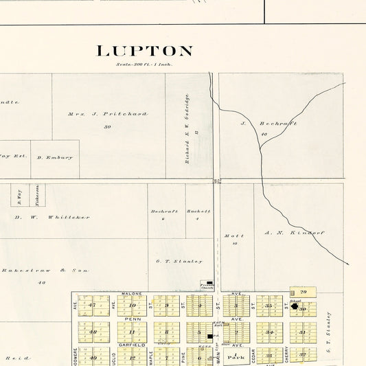 Vintage Map of South Branch, Michigan, 1903