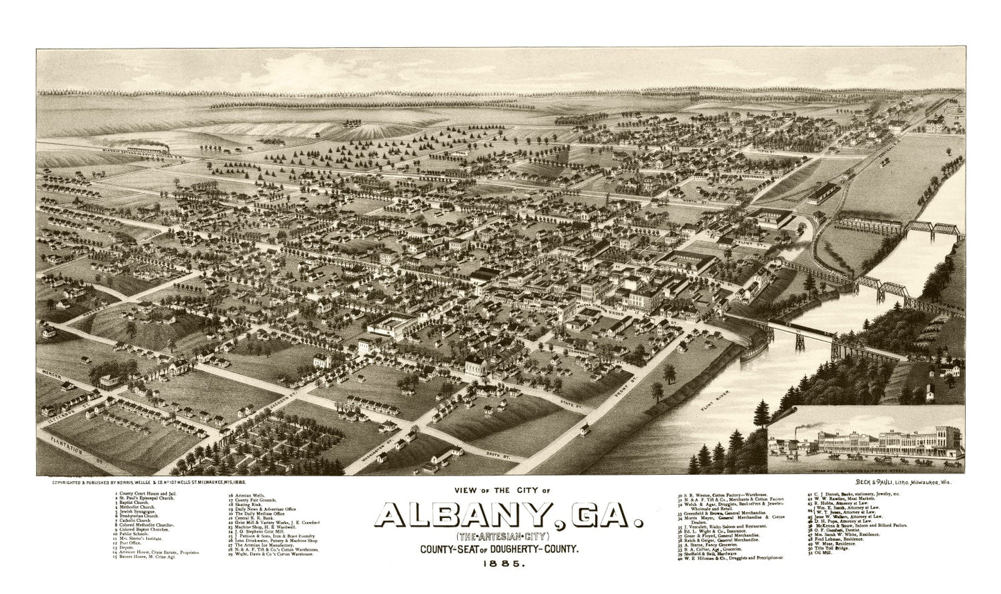 Vintage Map of Albany, Georgia, 1885