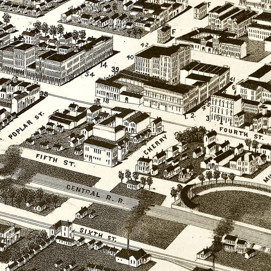 Vintage Map of Macon, Georgia, 1887