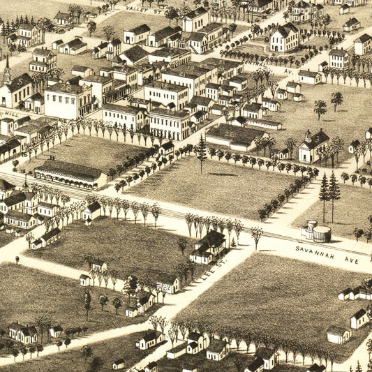 Vintage Map of Valdosta, Georgia, 1885