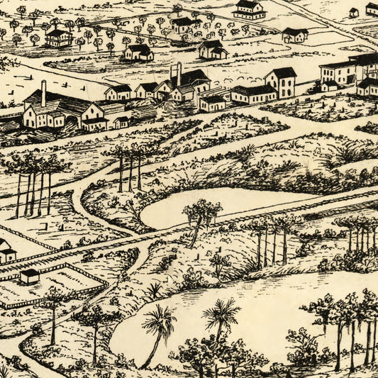 Vintage Map of Longwood, Florida, 1885