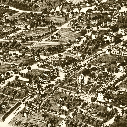 Vintage Map of Tallahassee, Florida, 1885