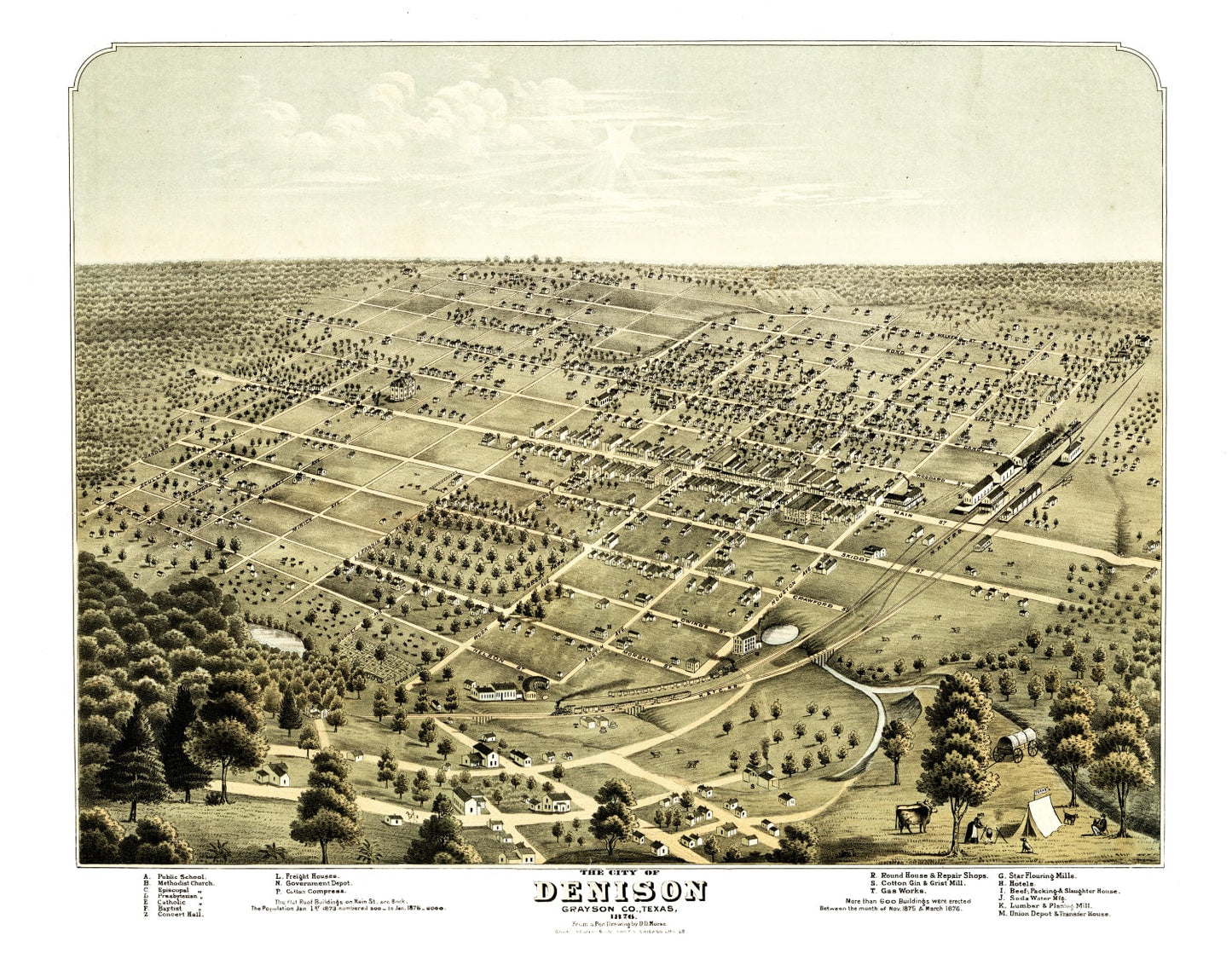 Vintage Map of Denison, Texas, 1876
