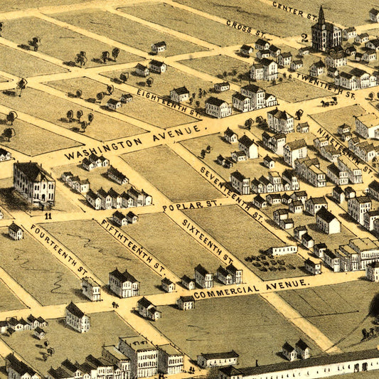 Vintage Map of Cairo, Illinois, 1867 Wall Art