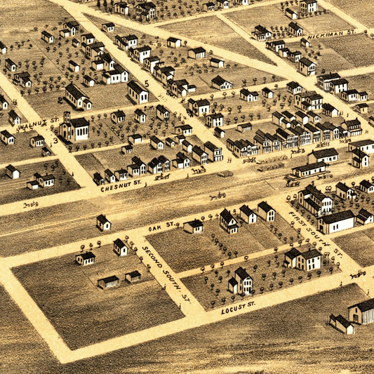 Vintage Map of Manteno, Illinois, 1869