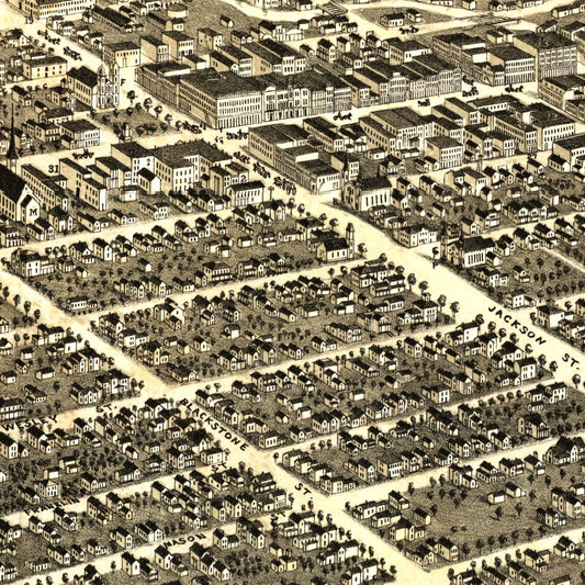 Vintage Map of Jackson, Michigan, 1881