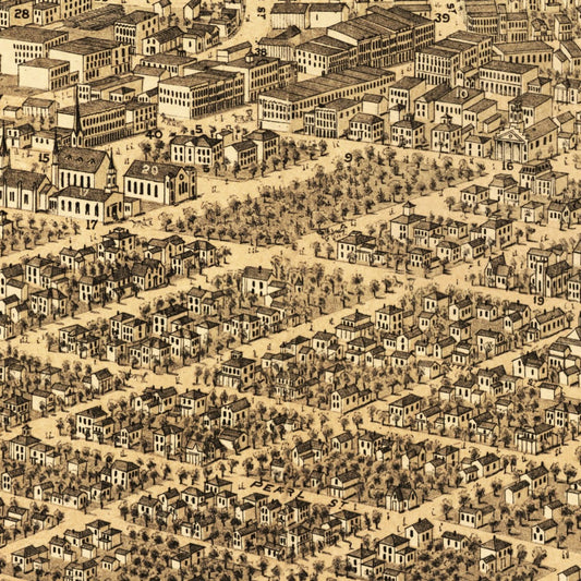 Vintage Map of Kalamazoo, Michigan, 1874