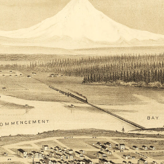 Vintage Map of Tacoma, Washington, 1878