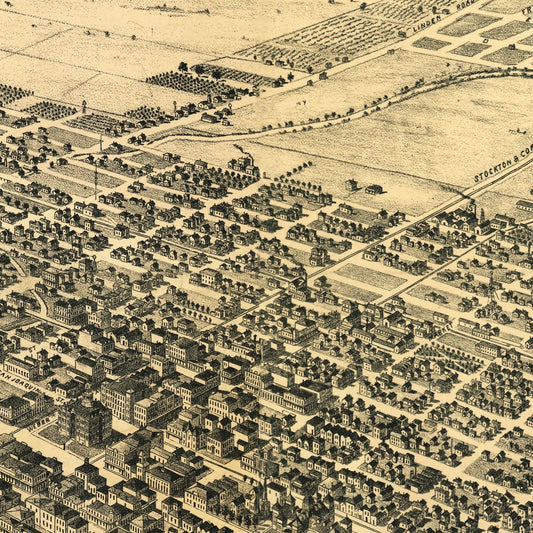 Vintage Map of Stockton, California, 1895
