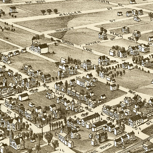 Vintage Map of Zelienople Pennsylvania, 1901