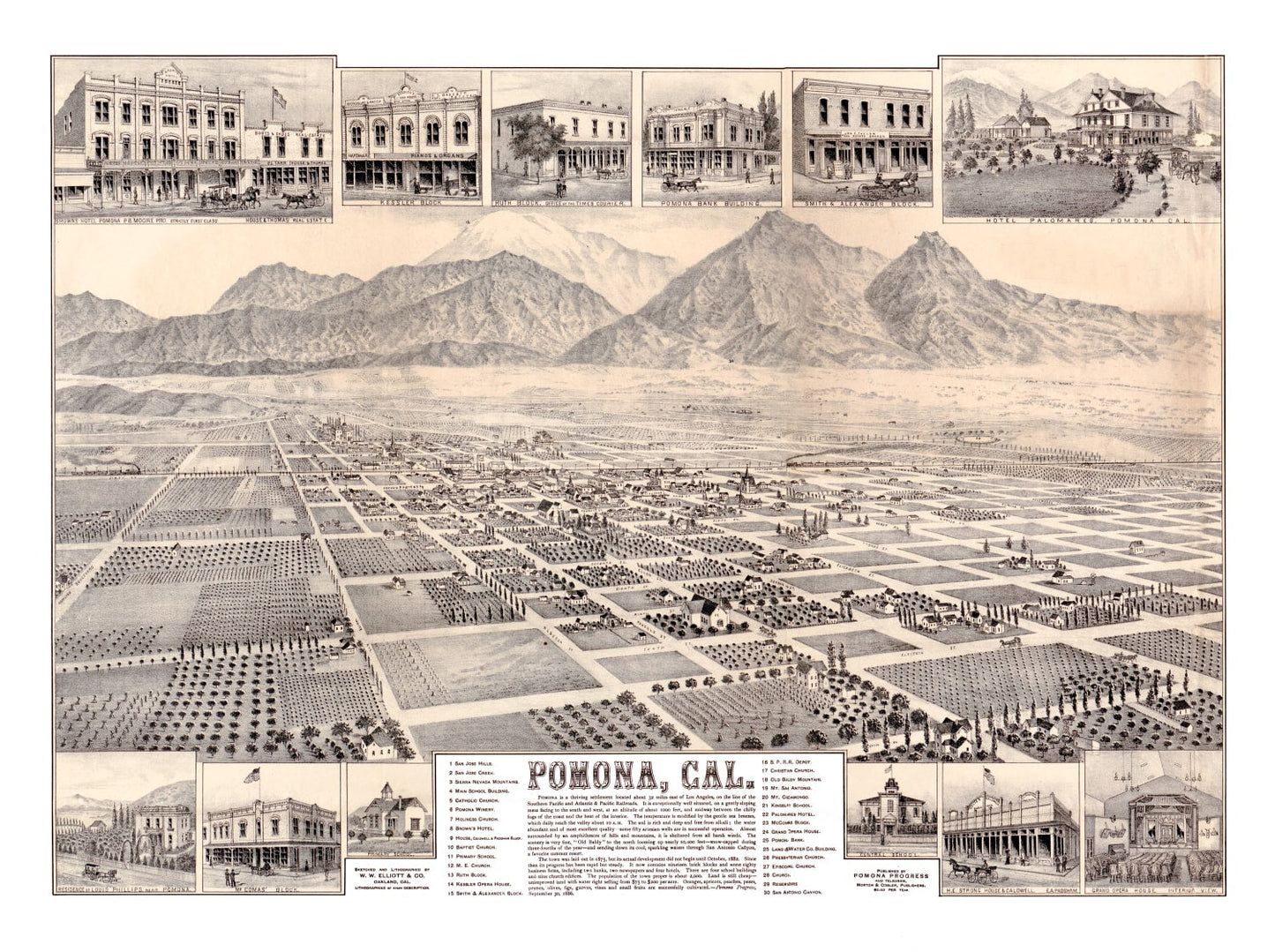 Vintage Map of Pomona, California, 1886