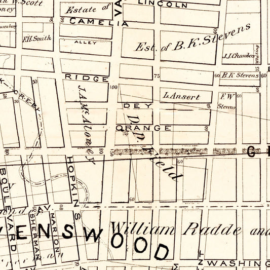 Vintage Map of Queens County, New York, 1874
