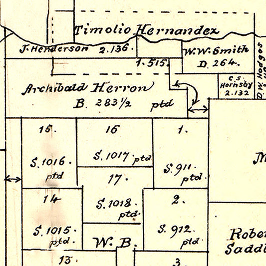 Vintage Map of San Patricio County, Texas, 1879