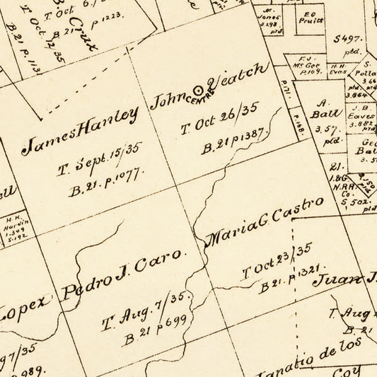 Vintage Map of Trinity County, Texas, 1879
