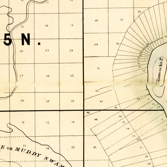 Vintage Map of Concordia Parish, Louisiana, 1860