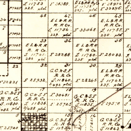 Vintage Map of Hale County, Texas, 1892