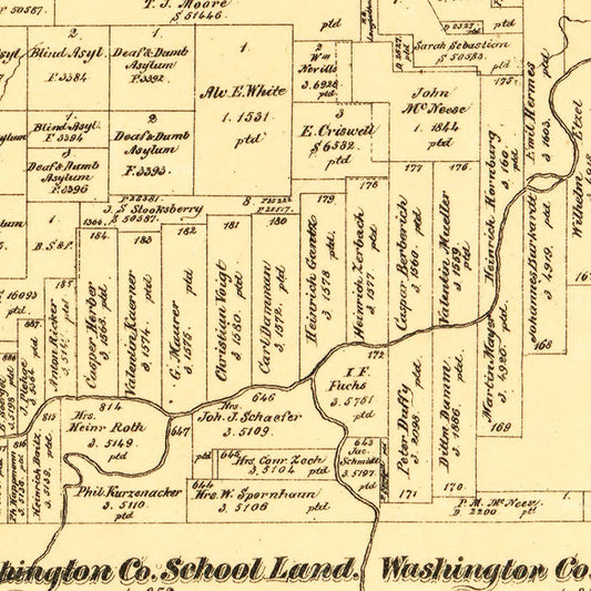 Vintage Map of Tom Green County, Texas, 1893