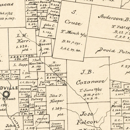 Vintage Map of Tyler County, Texas, 1879