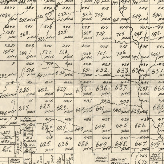 Vintage Map of Young County, Texas, 1898