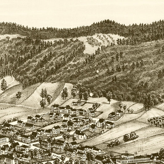 Vintage Map of Bristol, Vermont, 1889