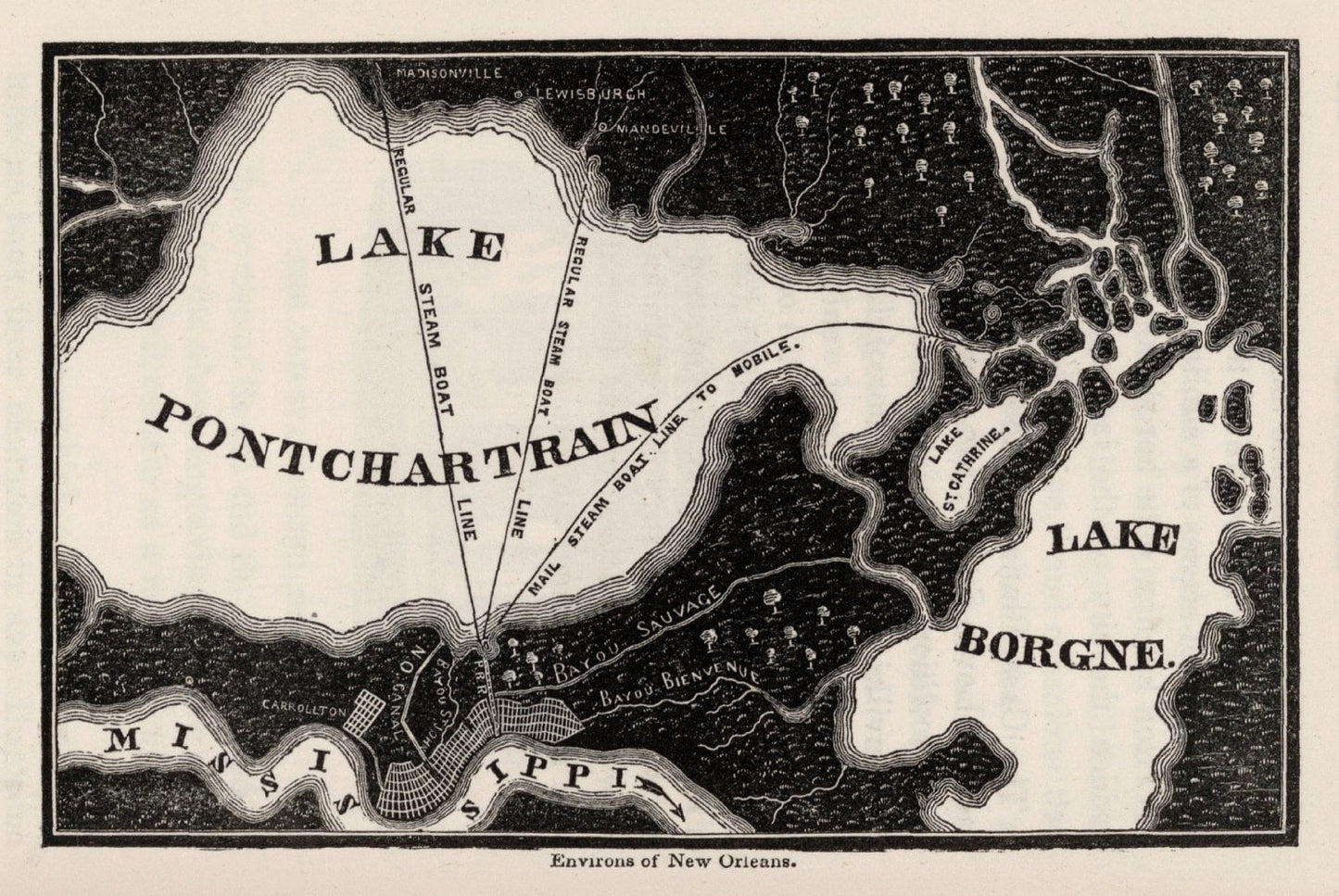 Vintage Map of New Orleans, Louisiana, 1845 (III)